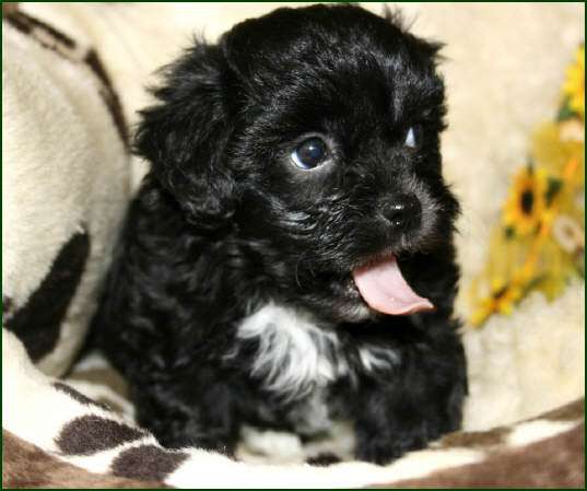 030520151430639824_1